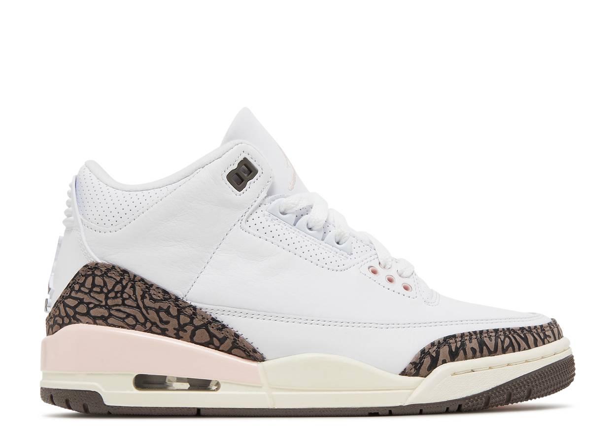 Air Jordan 3 Neapolitan