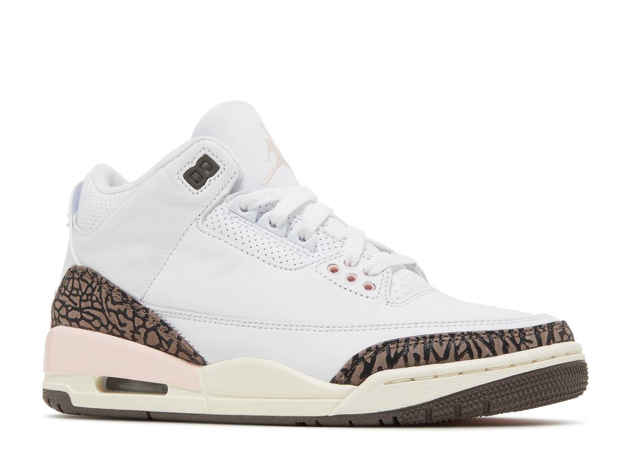 Air Jordan 3 Neapolitan